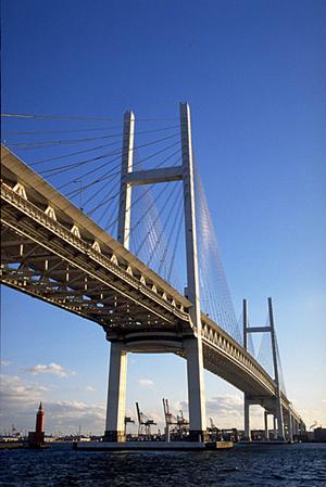 費用を抑えて取得できる免許合宿もある