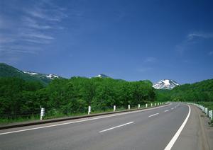 カーラッピングで愛車を守る！外観維持のための最適な選択肢とは